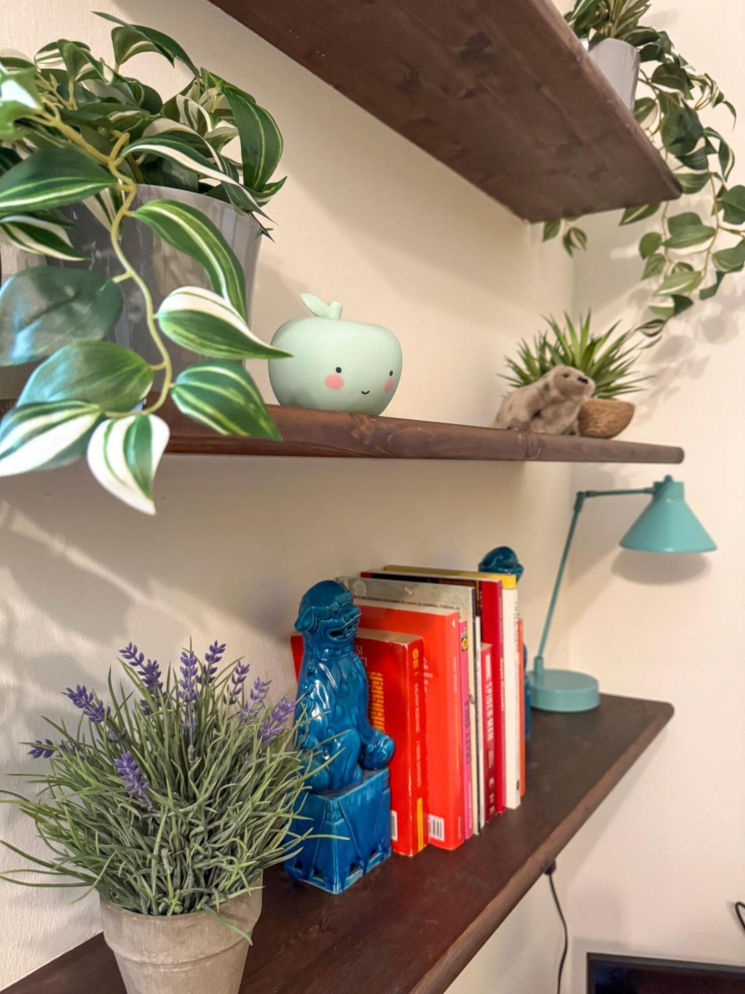 La Casa Di Zelda Appartamento *
